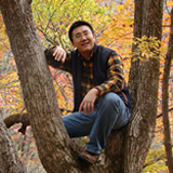 艾美特标志